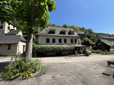 For sale Vieillevie 15 rooms 275 m2 Cantal (15120) photo 0