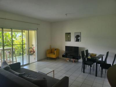 Annonce Vente 3 pices Appartement Cayenne 973