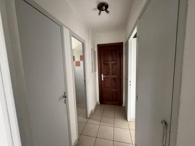 Louer Appartement Pietrosella 650 euros