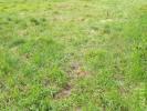 For sale Land Herblay  417 m2