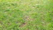 For sale Land Boissy-l'aillerie  1075 m2