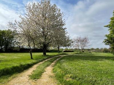 For sale Nanteuil-en-vallee 7 rooms 180 m2 Charente (16700) photo 2