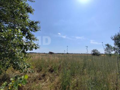 For sale Marsillargues 32767 m2 Herault (34590) photo 1