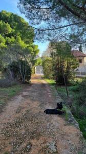 Acheter Terrain 300 m2 Bandol