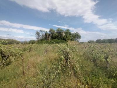 For sale Pouget 31371 m2 Herault (34230) photo 1
