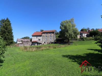 For sale Arches 5 rooms 170 m2 Vosges (88380) photo 0