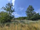 For sale Land Marsillargues  32767 m2