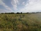 For sale Land Pouget  31371 m2