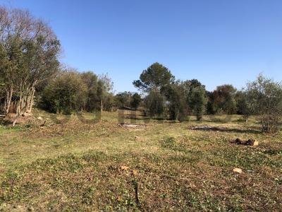 Annonce Vente Terrain Uzes 30