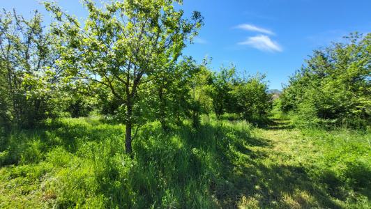 Annonce Vente Terrain Uzes 30