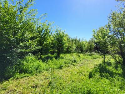 Acheter Terrain Uzes Gard