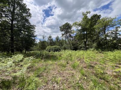 For sale Chancelade 3100 m2 Dordogne (24650) photo 0