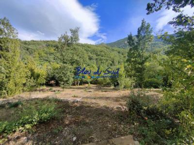 For sale Clara 1370 m2 Pyrenees orientales (66500) photo 1