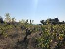 For sale Land Violes  554 m2