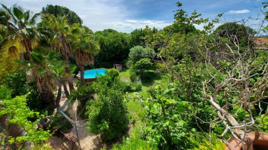 For sale Puissalicon 7 rooms 163 m2 Herault (34480) photo 3