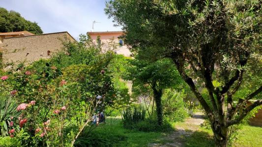 For sale Puissalicon 7 rooms 163 m2 Herault (34480) photo 4