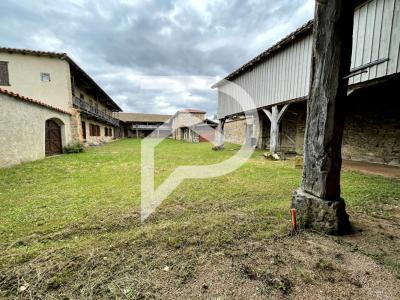 For sale Jure 7 rooms 250 m2 Loire (42430) photo 1