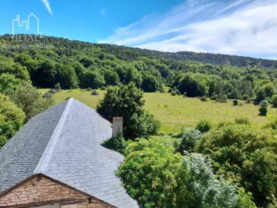 For sale Banassac SEVERAC-D'AVEYRON 422 m2 Lozere (48500) photo 2