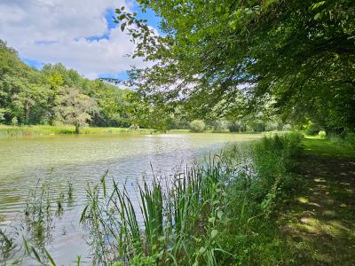 For sale Brantome 5 rooms 138 m2 Dordogne (24310) photo 3