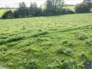 For sale Land Mele-sur-sarthe  2011 m2