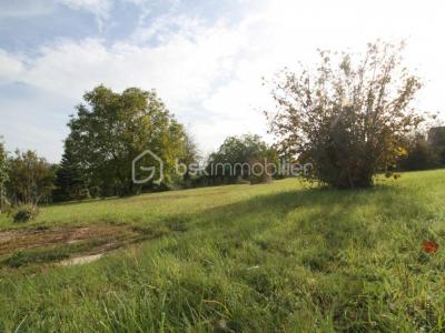 For sale Ecuelles ORVANNE 609 m2 Seine et marne (77250) photo 2