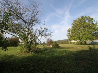 Acheter Terrain Ecuelles Seine et marne