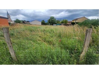 Annonce Vente Terrain Montrond-les-bains 42