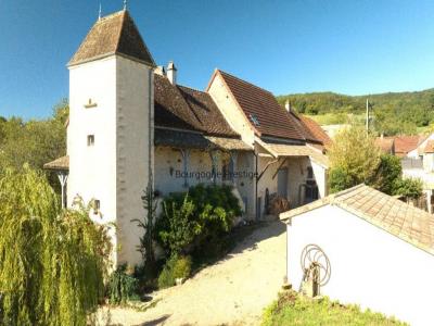 For sale Tournus 9 rooms 254 m2 Saone et loire (71700) photo 0