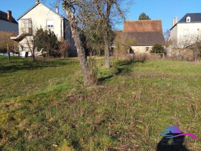 Annonce Vente 6 pices Maison Sainte-severe-sur-indre 36