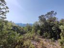 For sale Land Tavernes  22940 m2