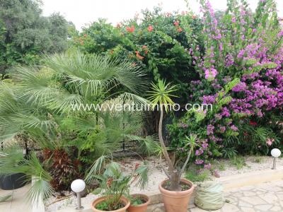 For sale Bocca 7 rooms 302 m2 Alpes Maritimes (06150) photo 4