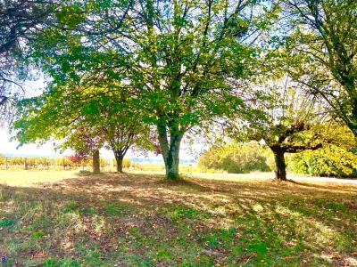 For sale Landiras 8 rooms 180 m2 Gironde (33720) photo 2