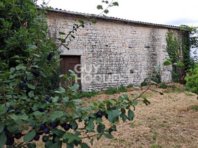 Acheter Maison Saint-saturnin-du-bois Charente maritime