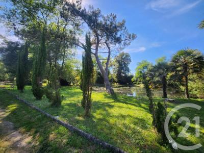 For sale Grayan-et-l'hopital 5 rooms 131 m2 Gironde (33590) photo 3