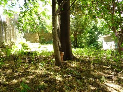 Acheter Maison Salles-du-gardon Gard