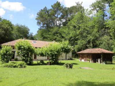 For sale Riviere-saas-et-gourby 6 rooms 250 m2 Landes (40180) photo 1