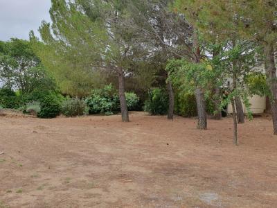 For sale Abeilhan 1090 m2 Herault (34290) photo 0