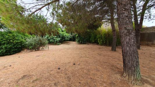 For sale Abeilhan 1090 m2 Herault (34290) photo 1