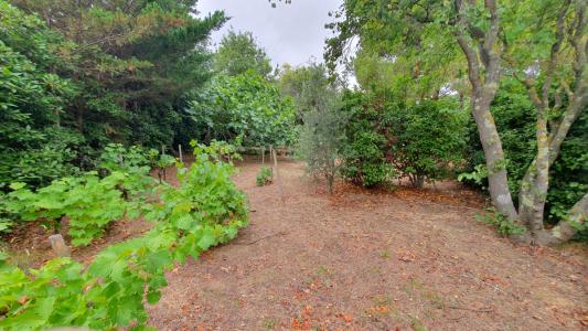 For sale Abeilhan 1090 m2 Herault (34290) photo 2