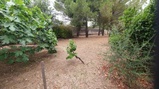 For sale Abeilhan 1090 m2 Herault (34290) photo 3