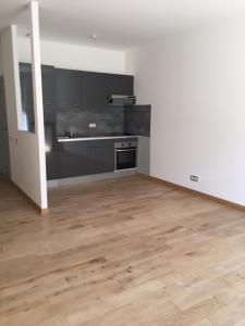 For rent Nancy 2 rooms 38 m2 Meurthe et moselle (54000) photo 0