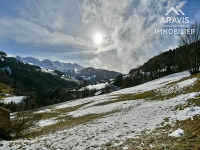 Acheter Terrain 6095 m2 Grand-bornand