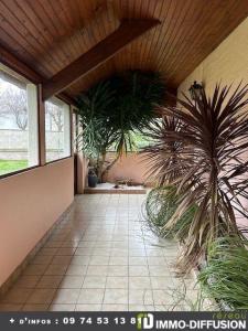 For sale 2 rooms 295 m2 Marne (51120) photo 4