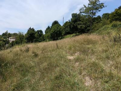 Acheter Terrain Coursegoules 199000 euros