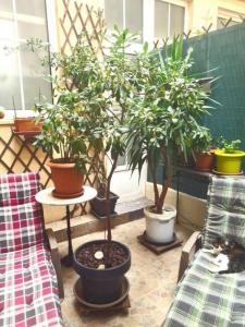 For sale Nice 2 rooms 43 m2 Alpes Maritimes (06000) photo 2