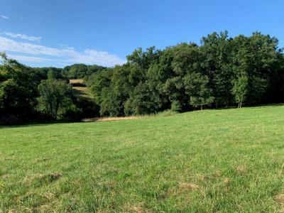 For sale Collongues 1900 m2 Hautes pyrenees (65350) photo 4