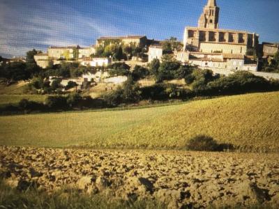 For sale Saint-felix-lauragais Haute garonne (31540) photo 0