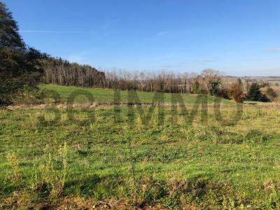 For sale Horsarrieu Landes (40700) photo 1