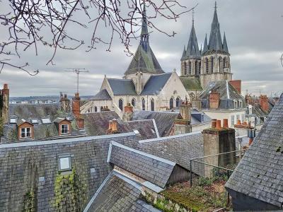 For sale Blois 5 rooms 170 m2 Loir et cher (41000) photo 0