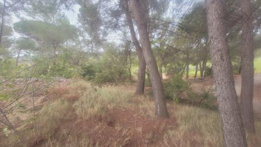 Acheter Terrain Rieux-minervois 65590 euros